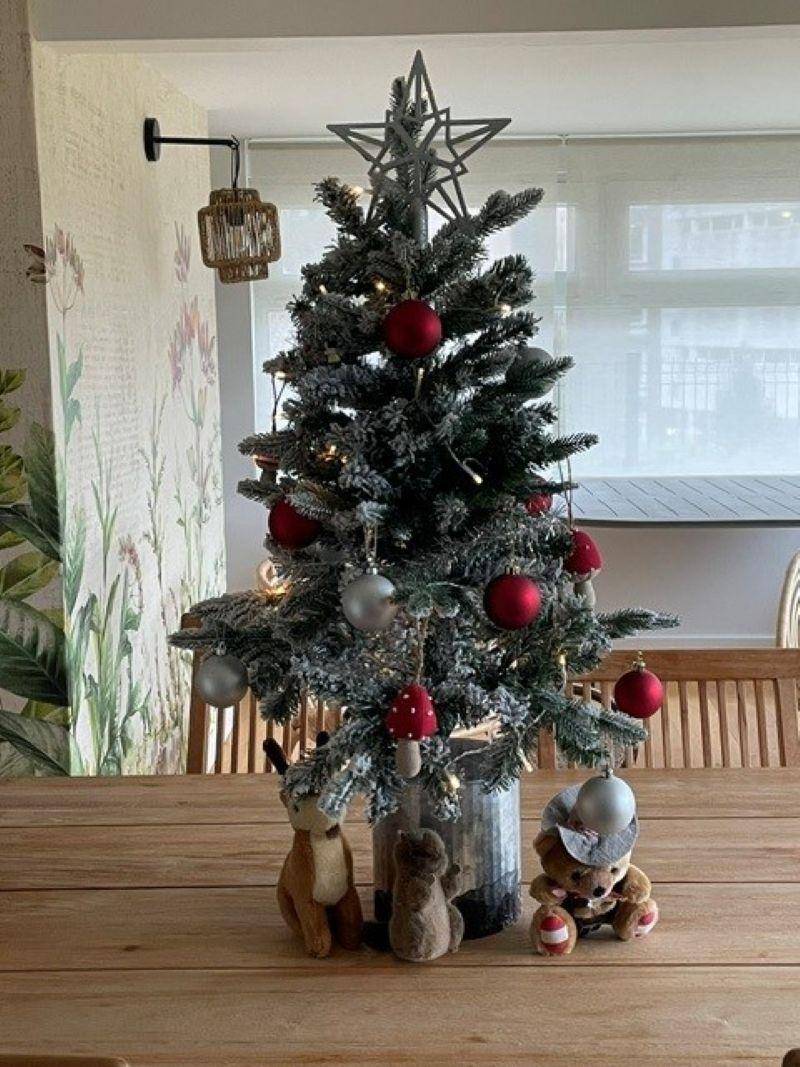 foto21