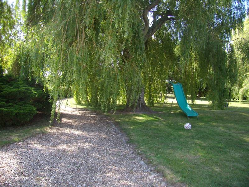 foto14