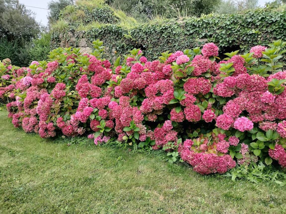 foto26