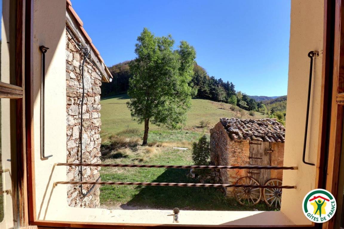 foto9