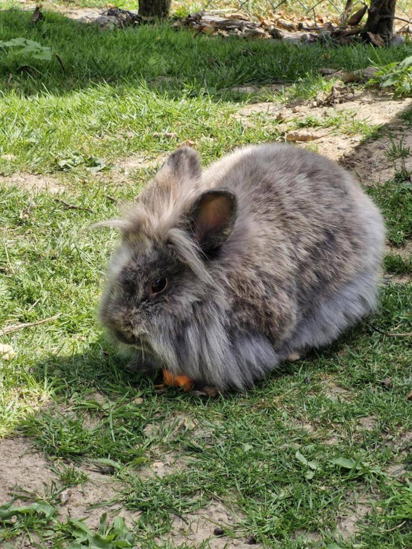 foto37