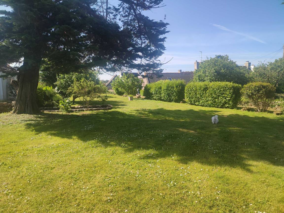 foto16