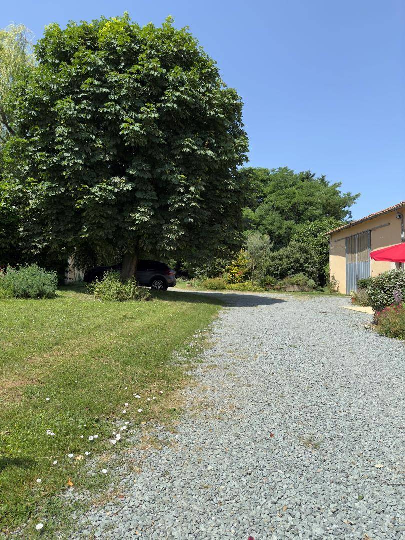 foto11