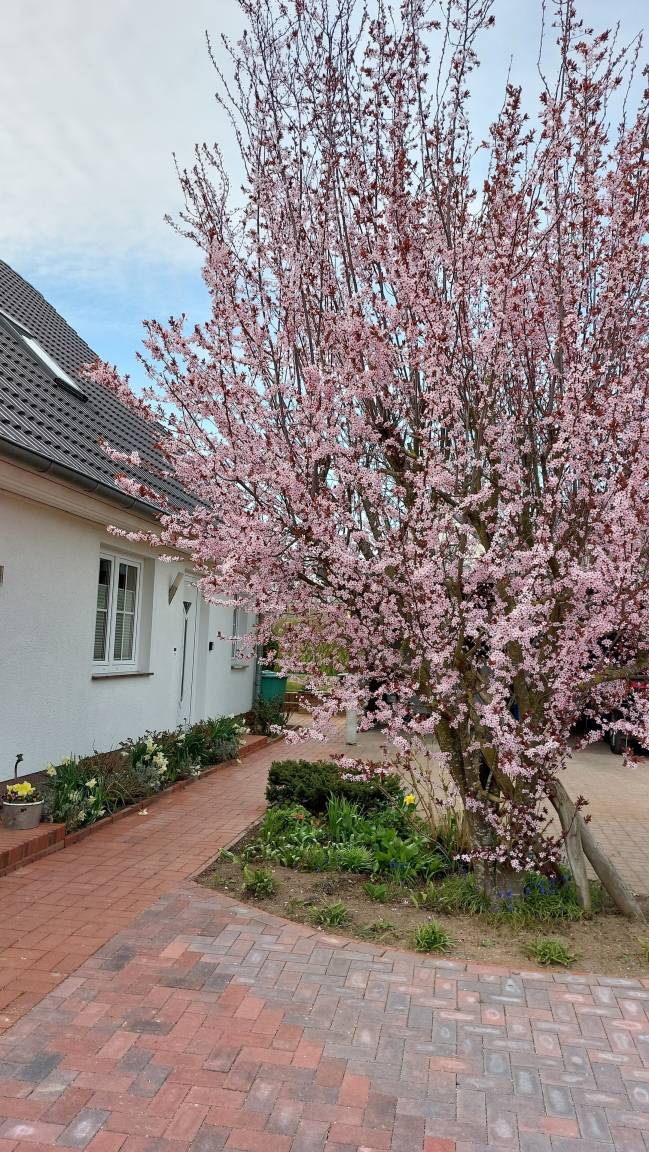 60 m² Ferienwohnung ∙ 1 Schlafzimmer ∙ 2 Gäste – Bild 16
