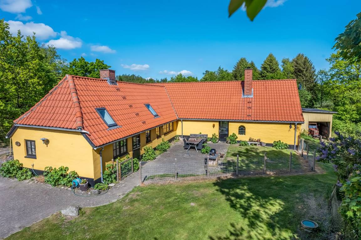 foto1