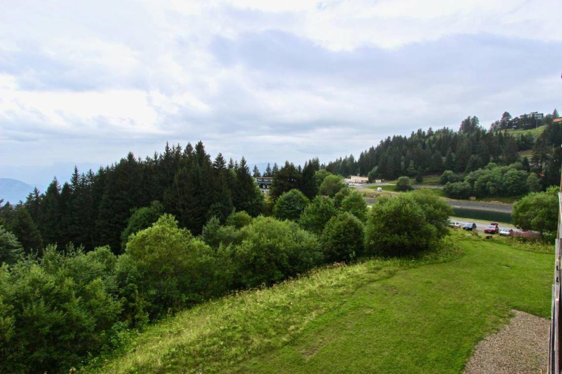 foto11