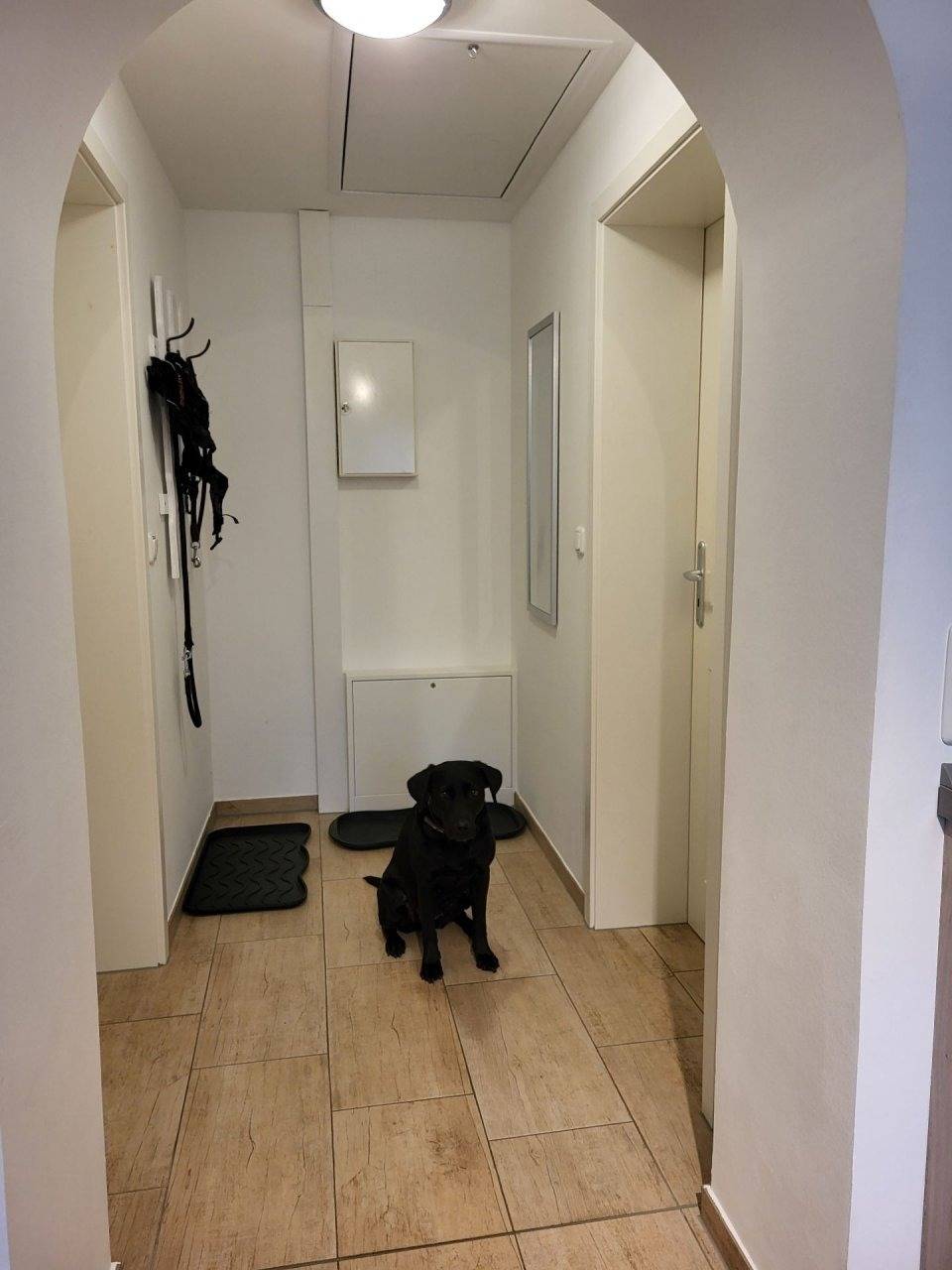 50 m² Ferienwohnung ∙ 2 Schlafzimmer ∙ 4 Gäste – Bild 5