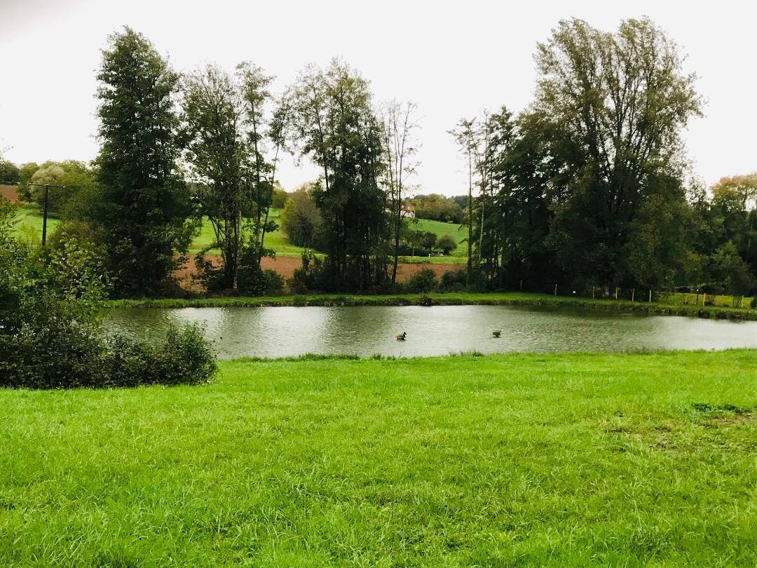 foto26