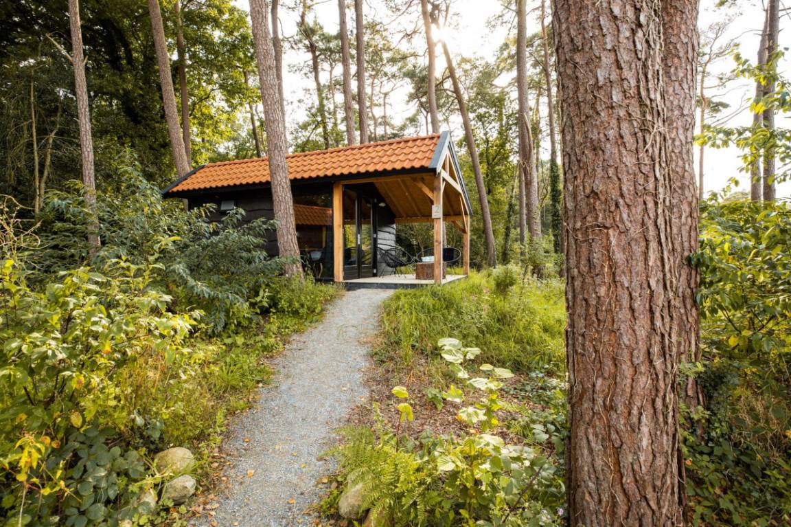 16 M² Huis ∙ 1 Slaapkamer ∙ 4 Gasten - Assen