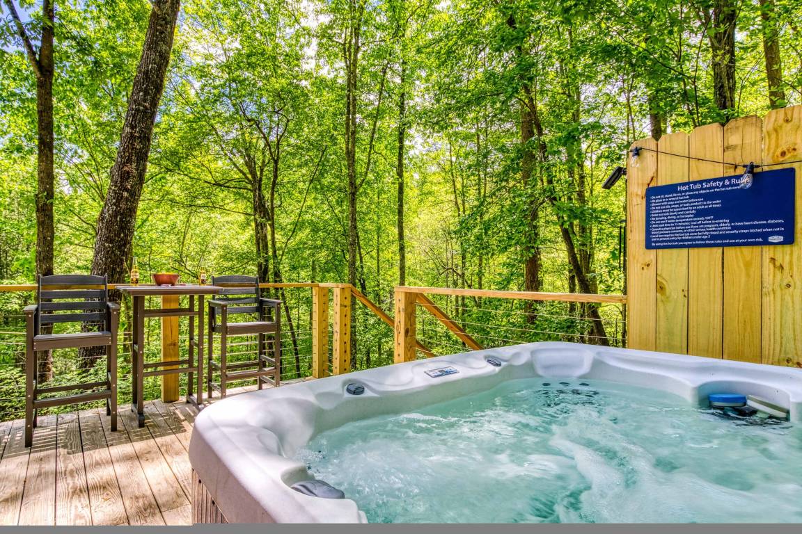 Ferienwohnung ∙ 2 Schlafzimmer ∙ 6 Gäste - Gatlinburg, TN