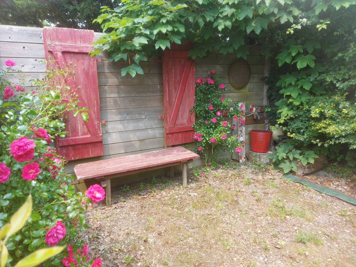 foto23