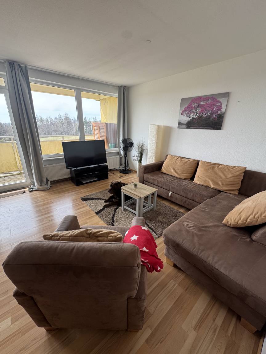 Apartment ∙ 1 Bedroom ∙ 4 Guests - Braunlage