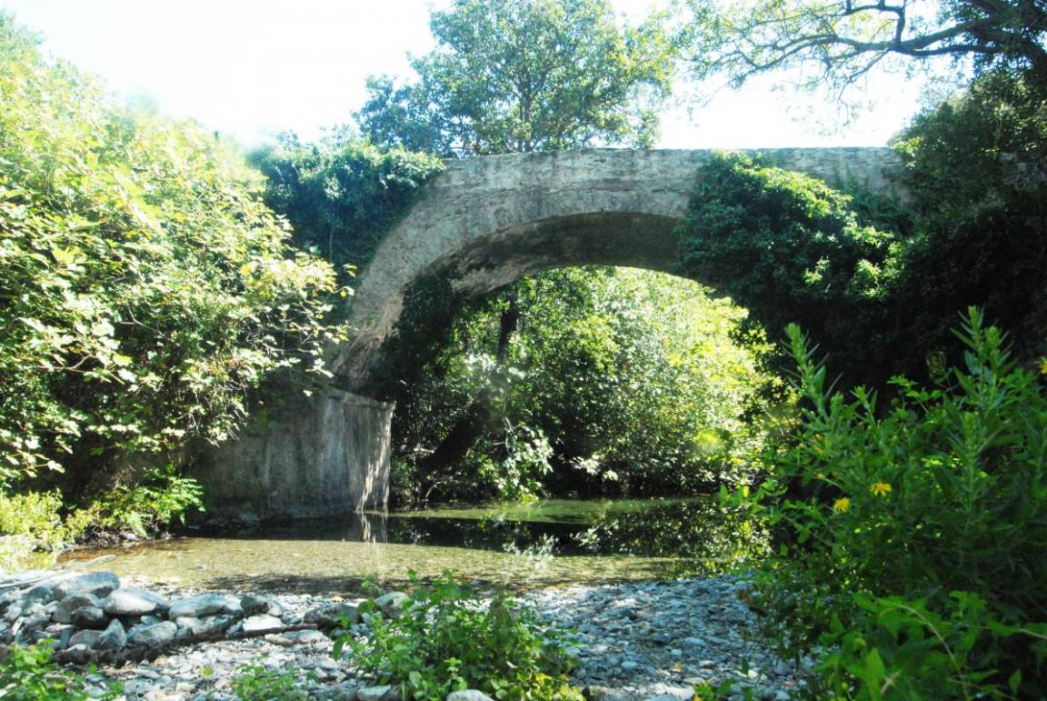 foto21