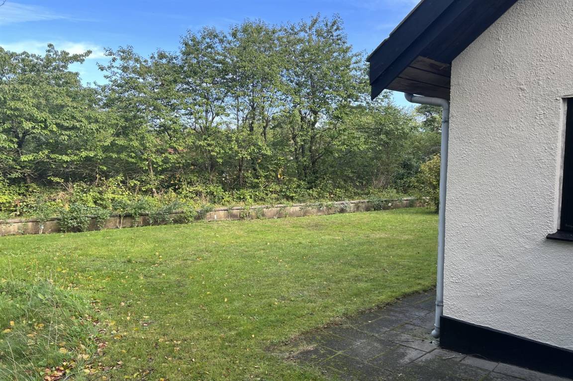 foto10