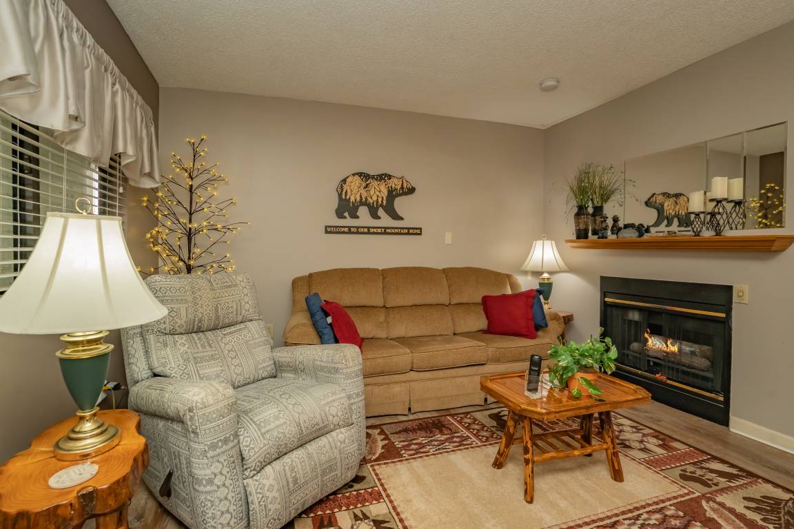 47 M² Apartamento ∙ 1 Habitación ∙ 4 Huéspedes - Gatlinburg, TN