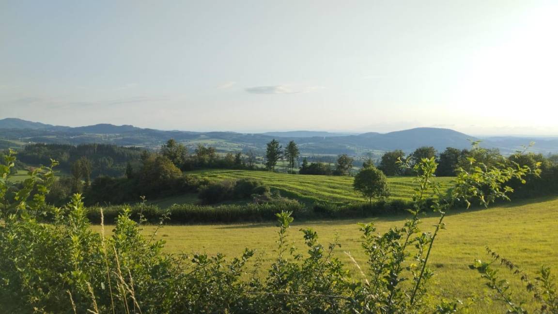 foto6