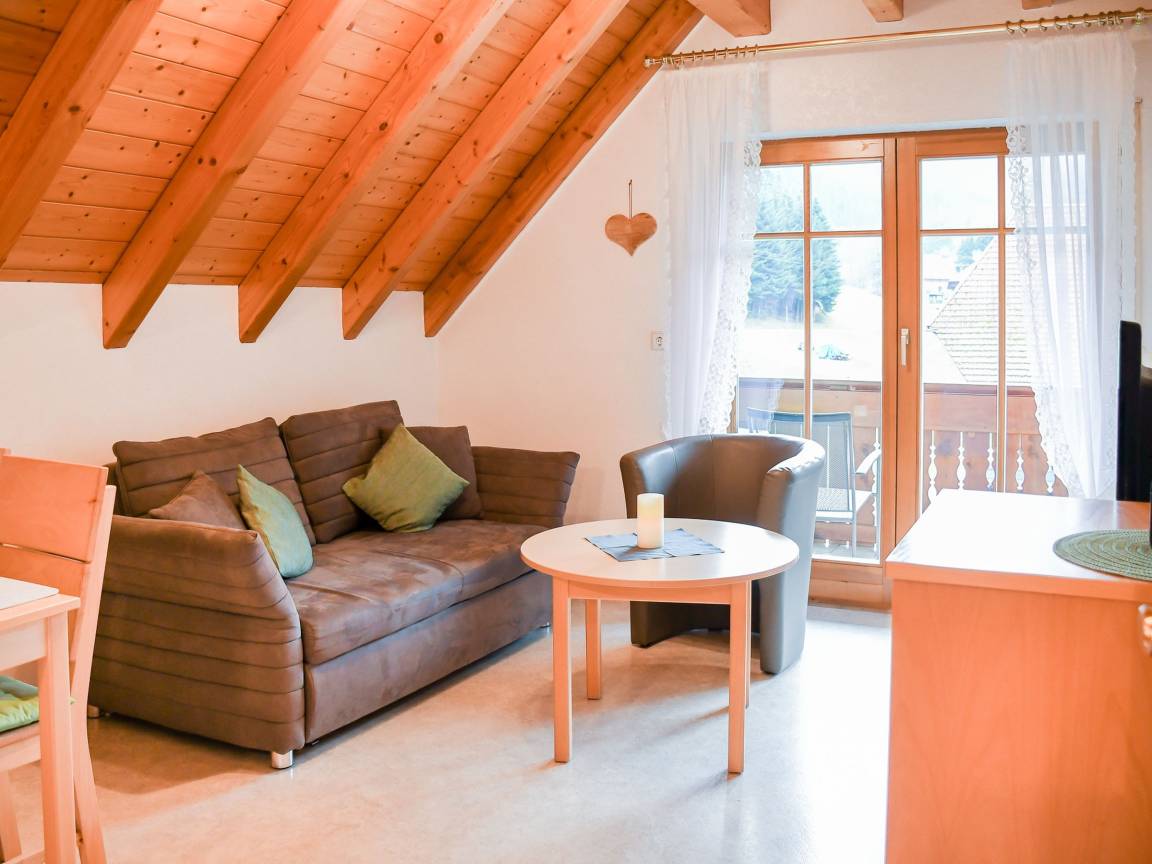 45 M² Ferienwohnung ∙ 1 Schlafzimmer ∙ 2 Gäste - Haslach im Kinzigtal