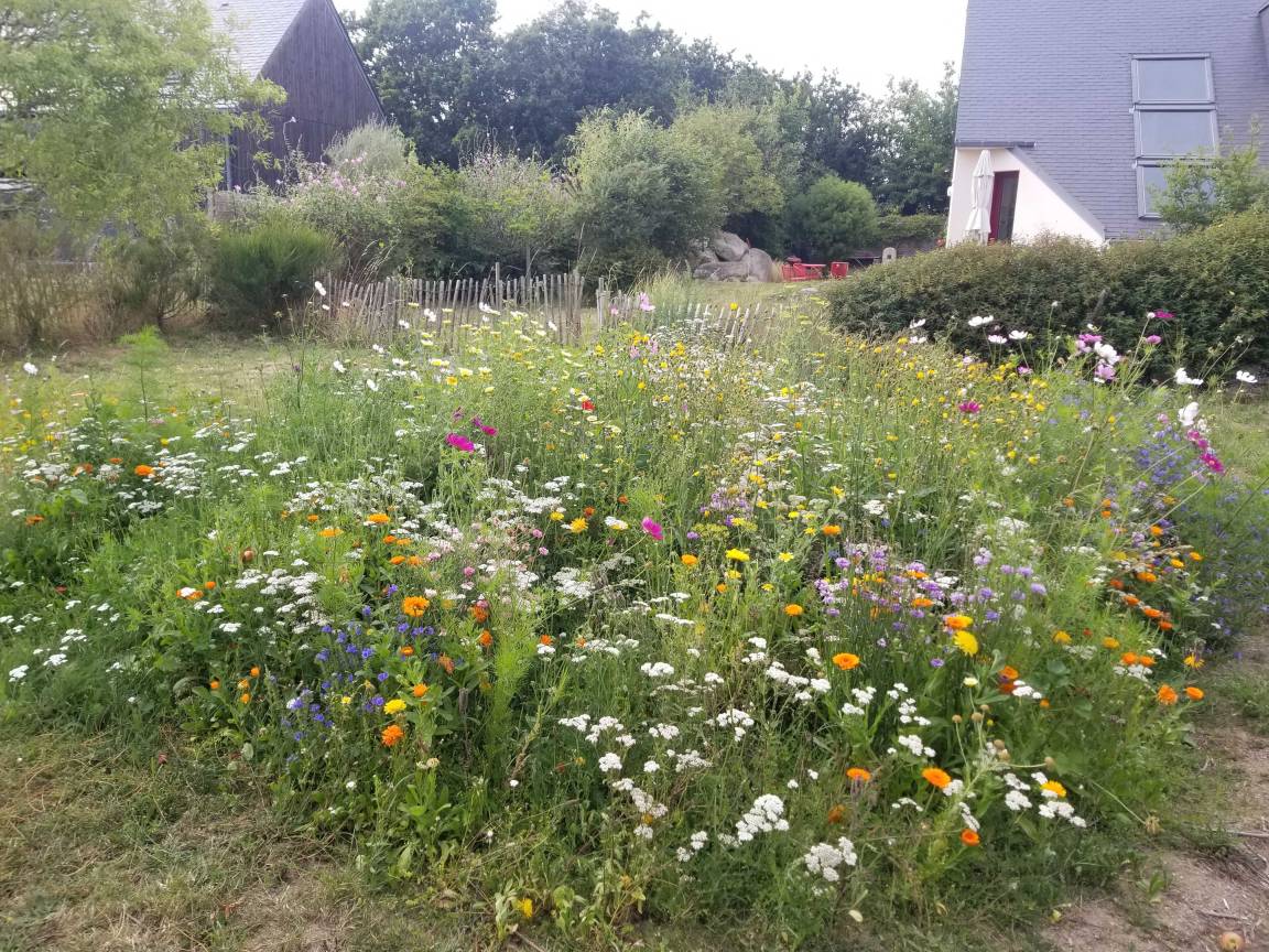 foto24