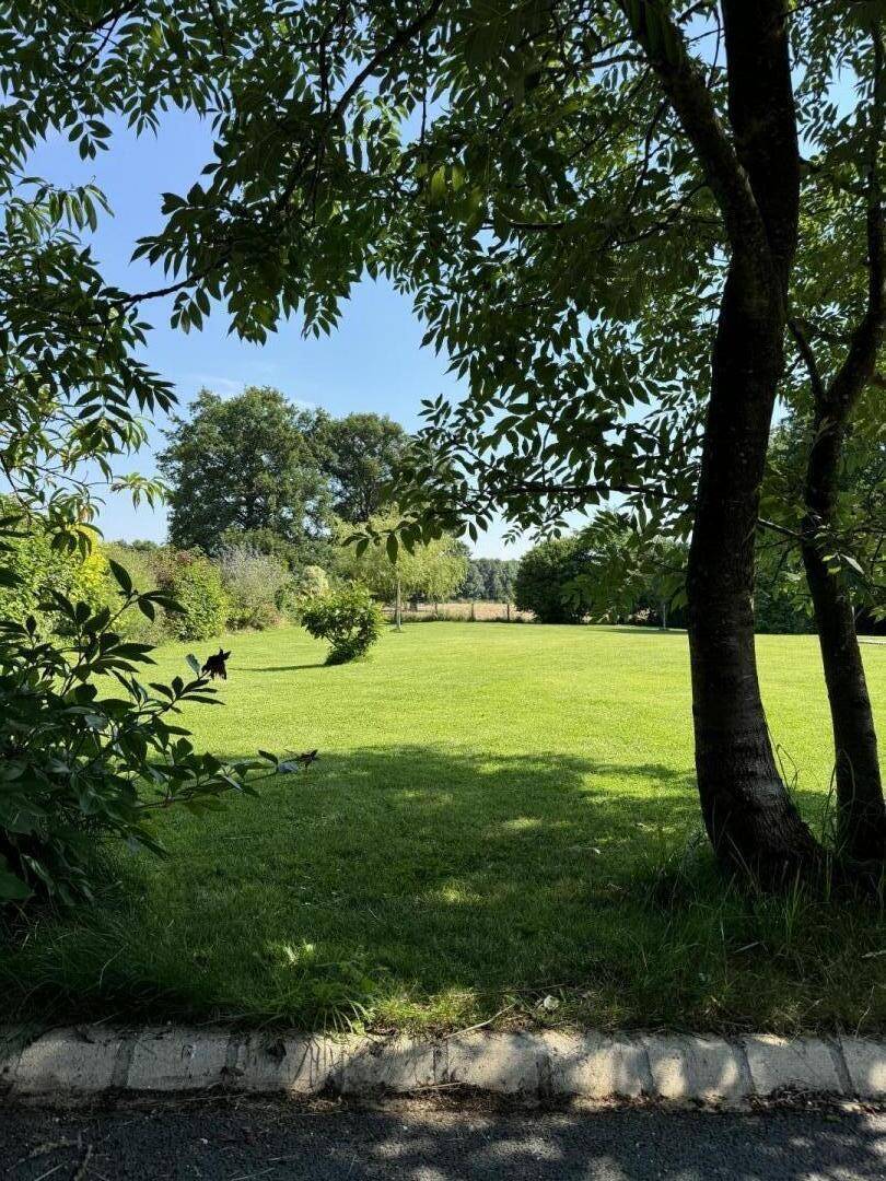 foto18