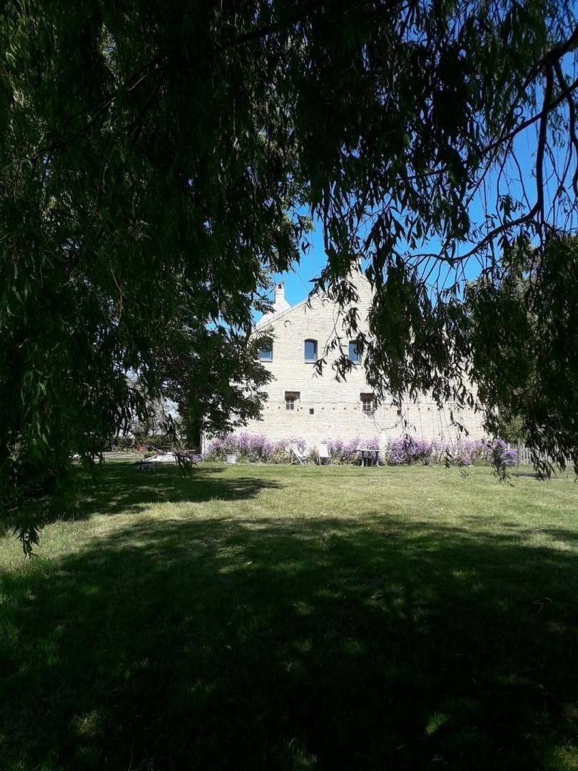 foto45