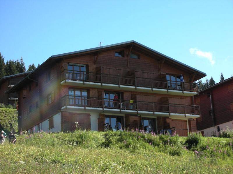 foto7