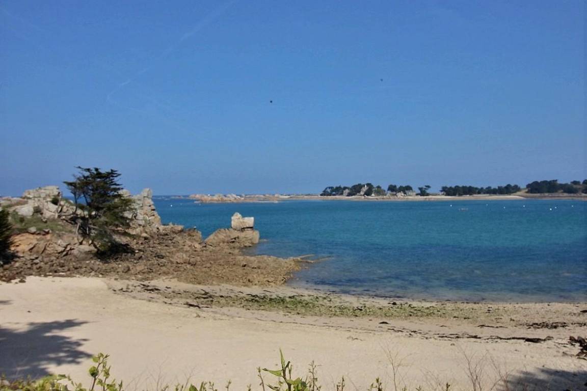 foto41