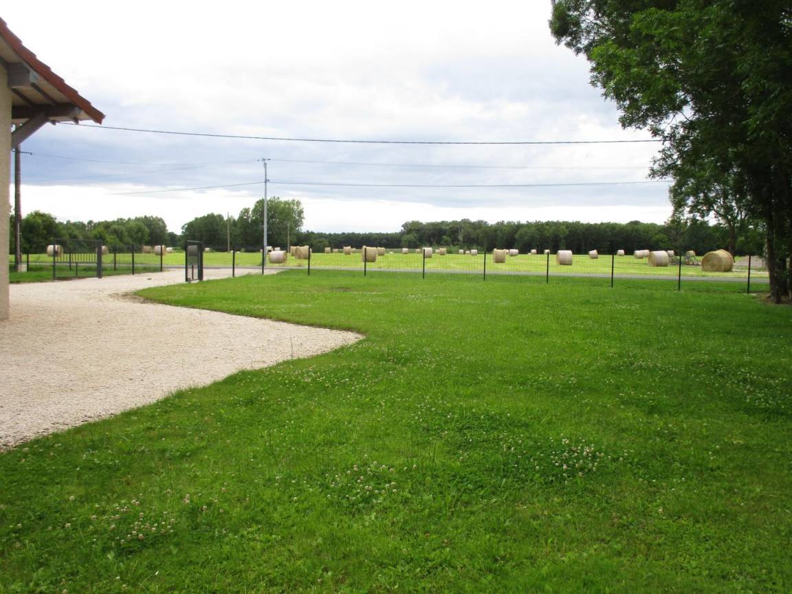 foto11
