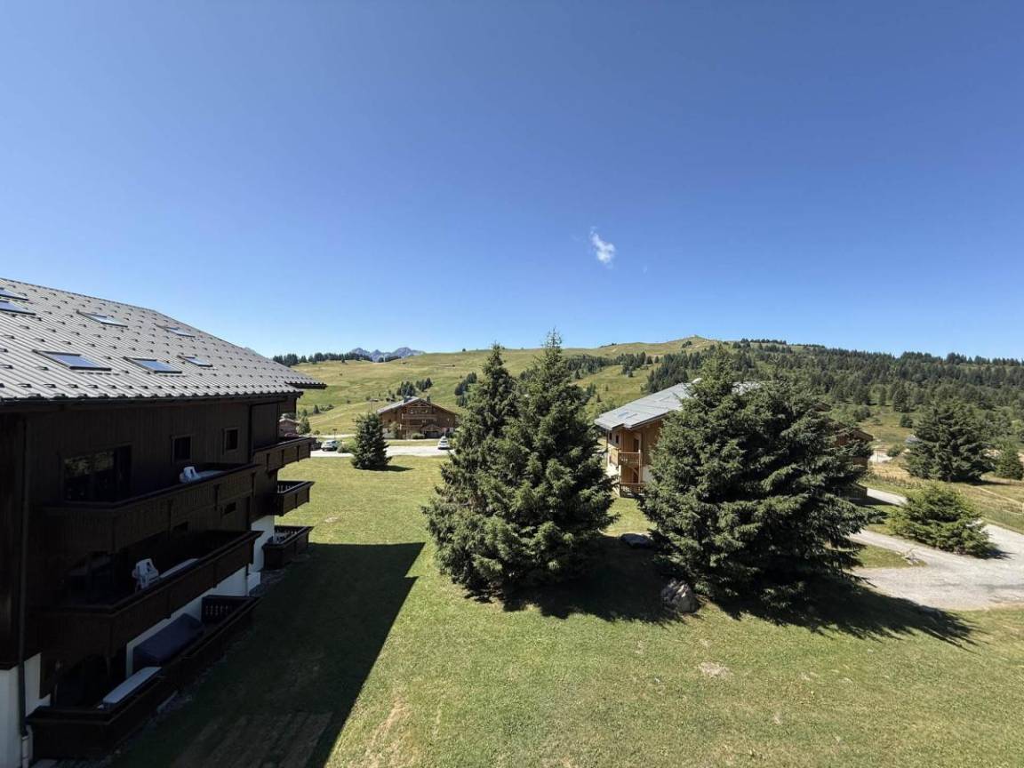 foto11