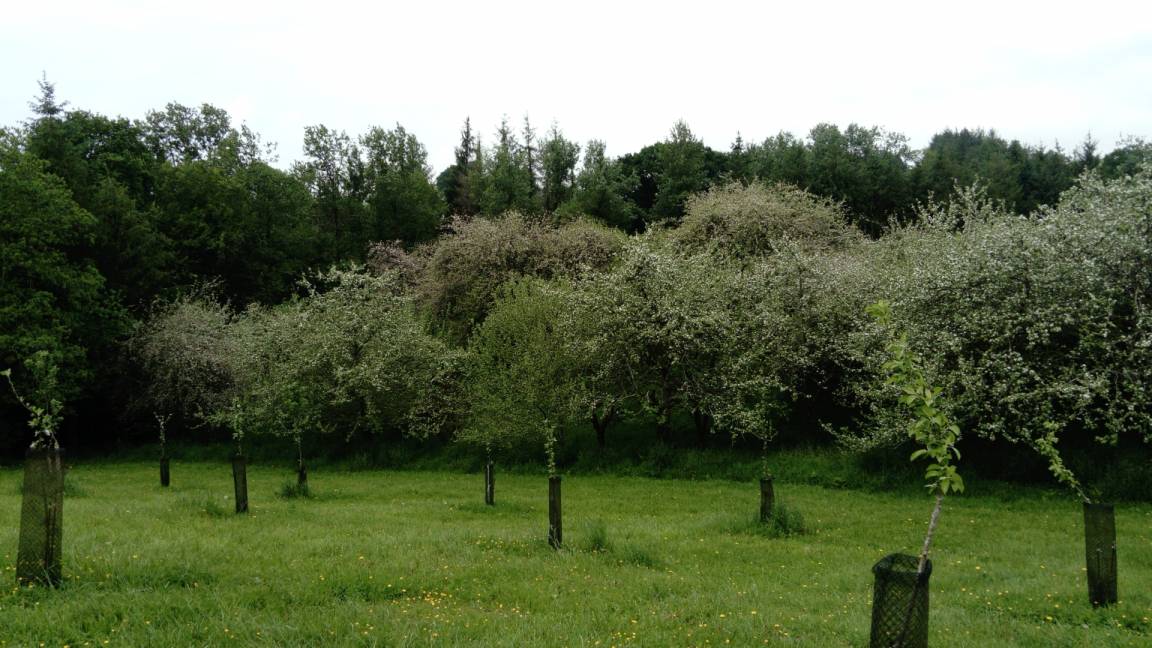 foto20