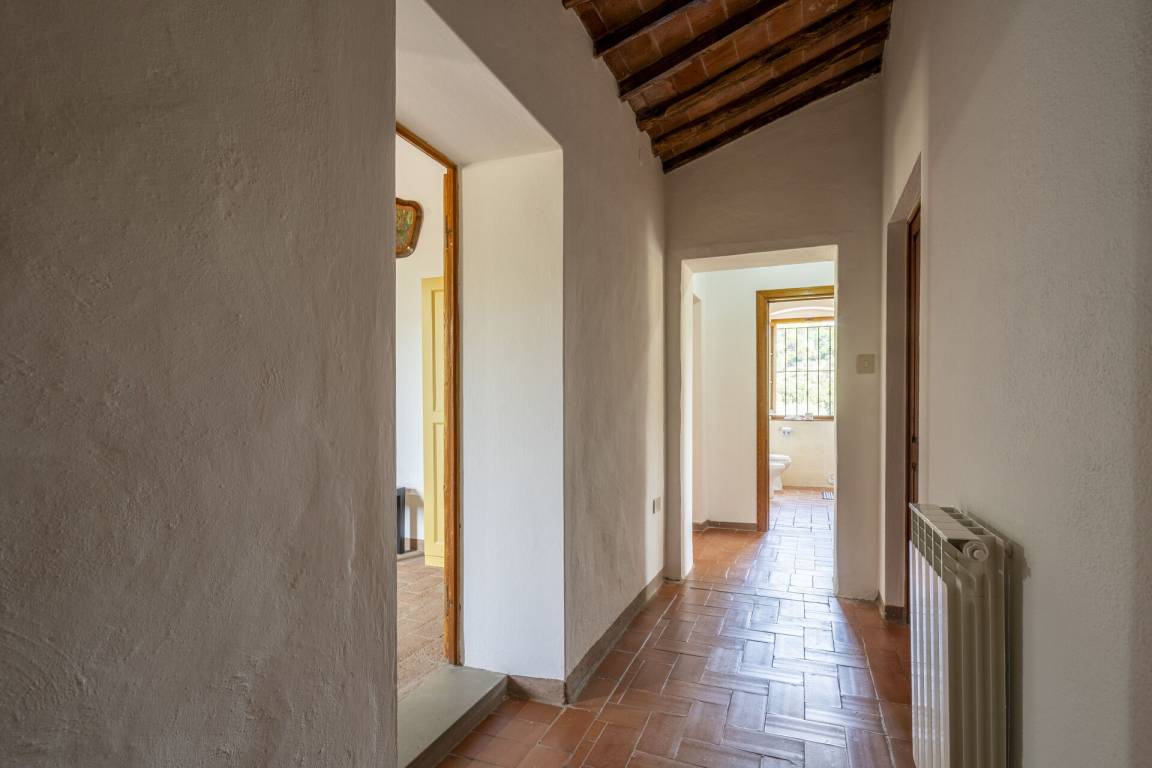 foto42