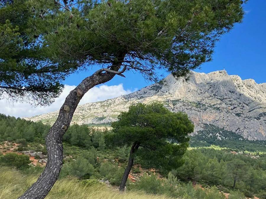 15 M² Chalet ∙ 2 Chambres ∙ 4 Personnes - Rousset