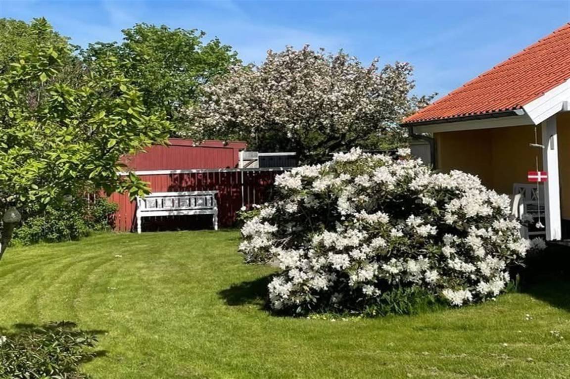 foto19