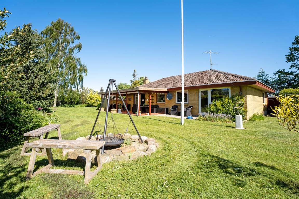 foto1