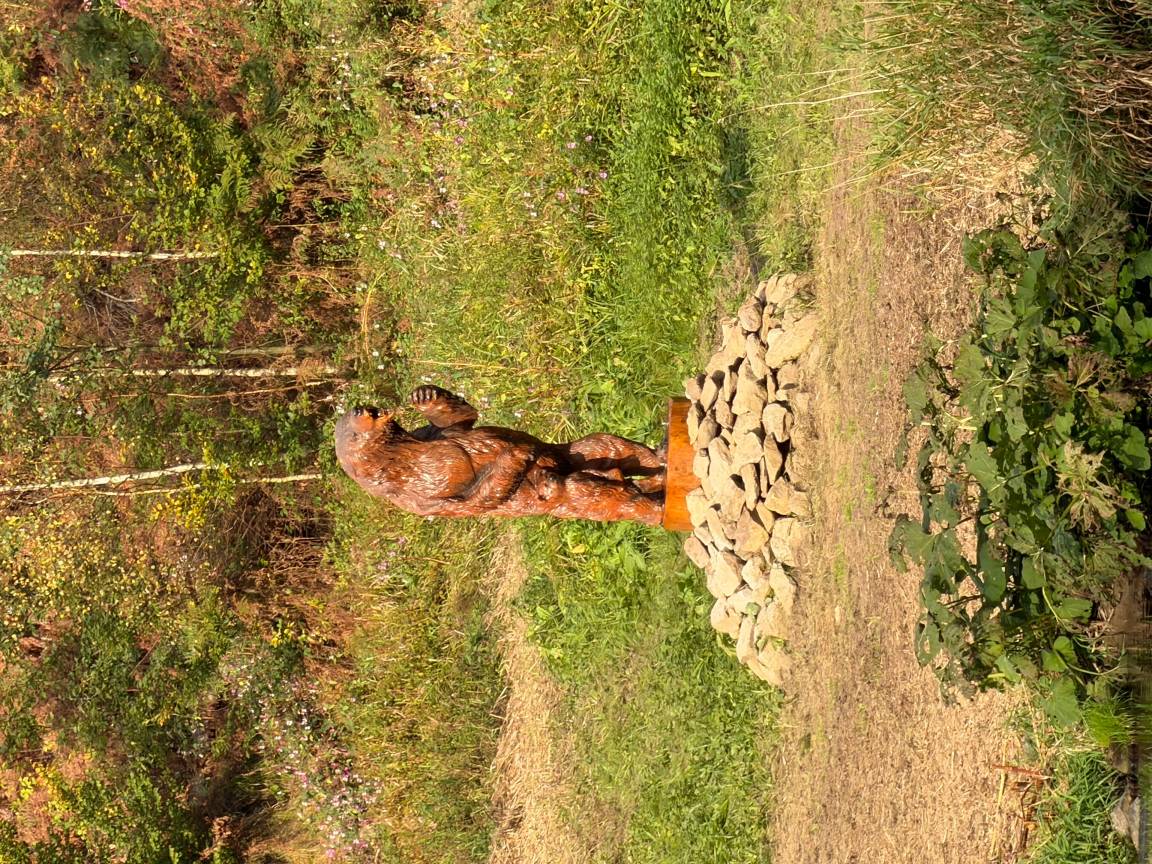 foto16