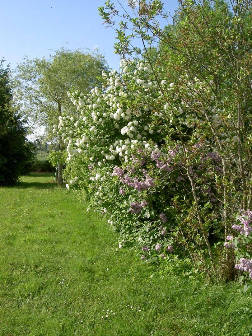 foto15