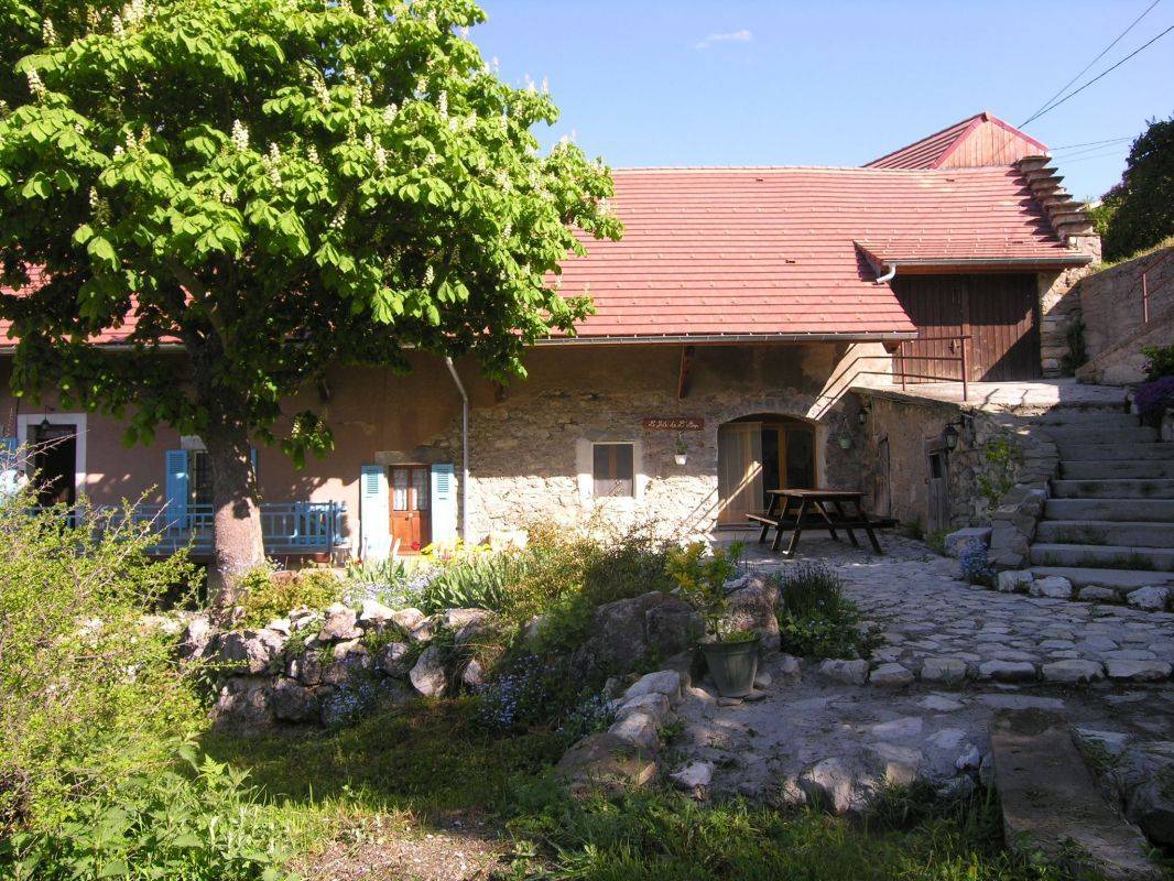 foto19