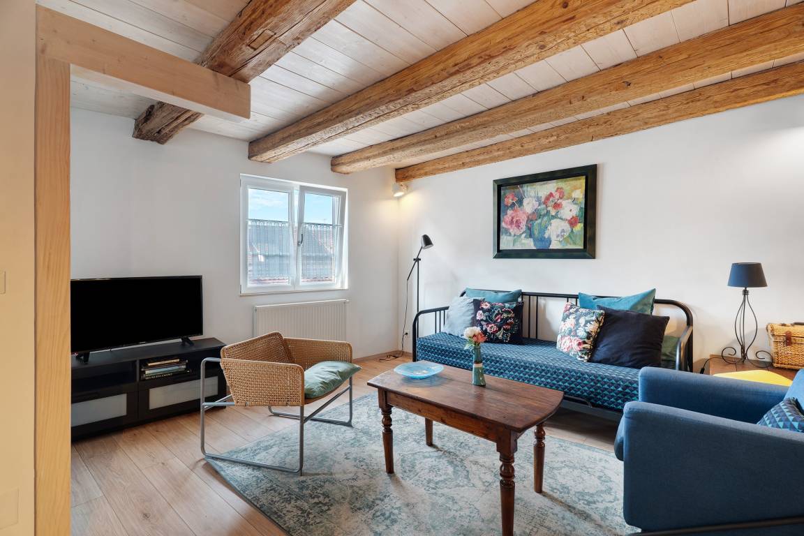 50 M² Appartement ∙ 1 Chambre ∙ 3 Personnes - Rosheim
