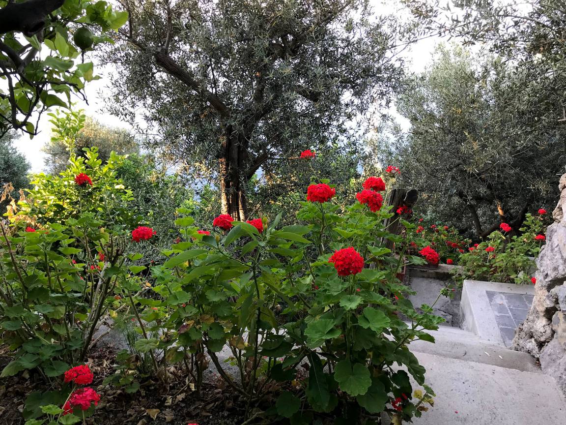 foto8