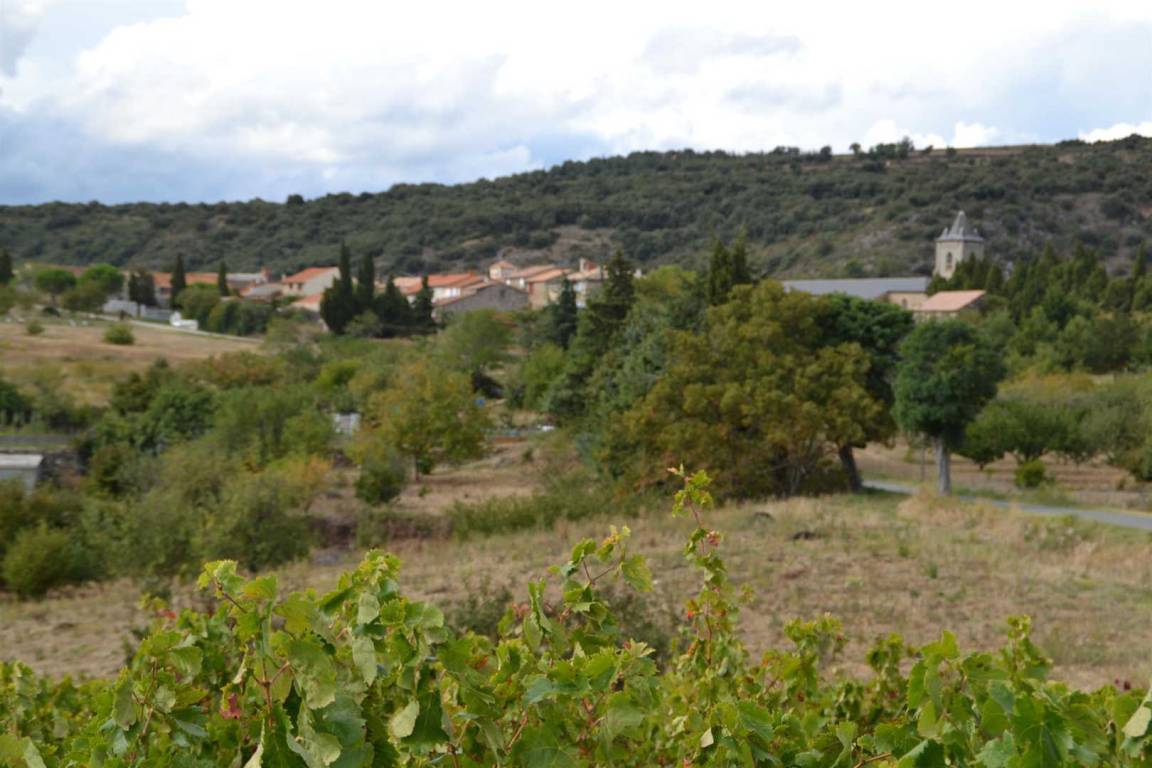 foto16