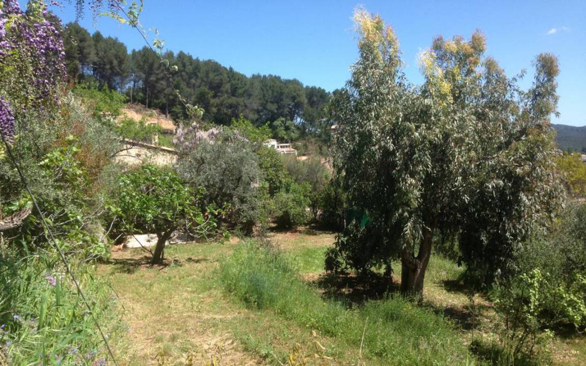 foto3