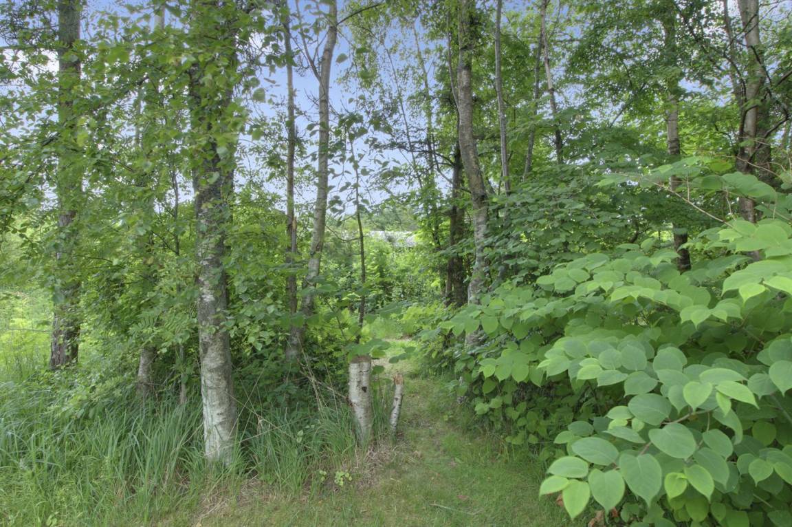foto11