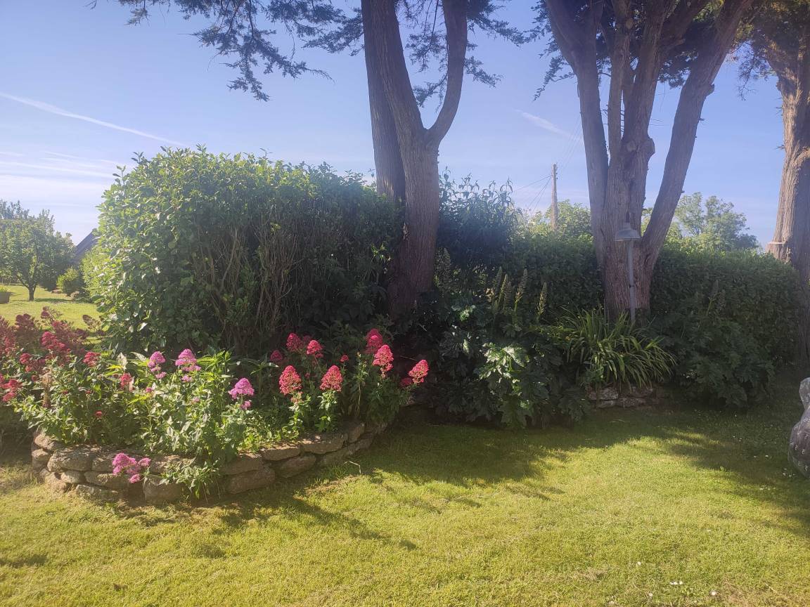 foto17