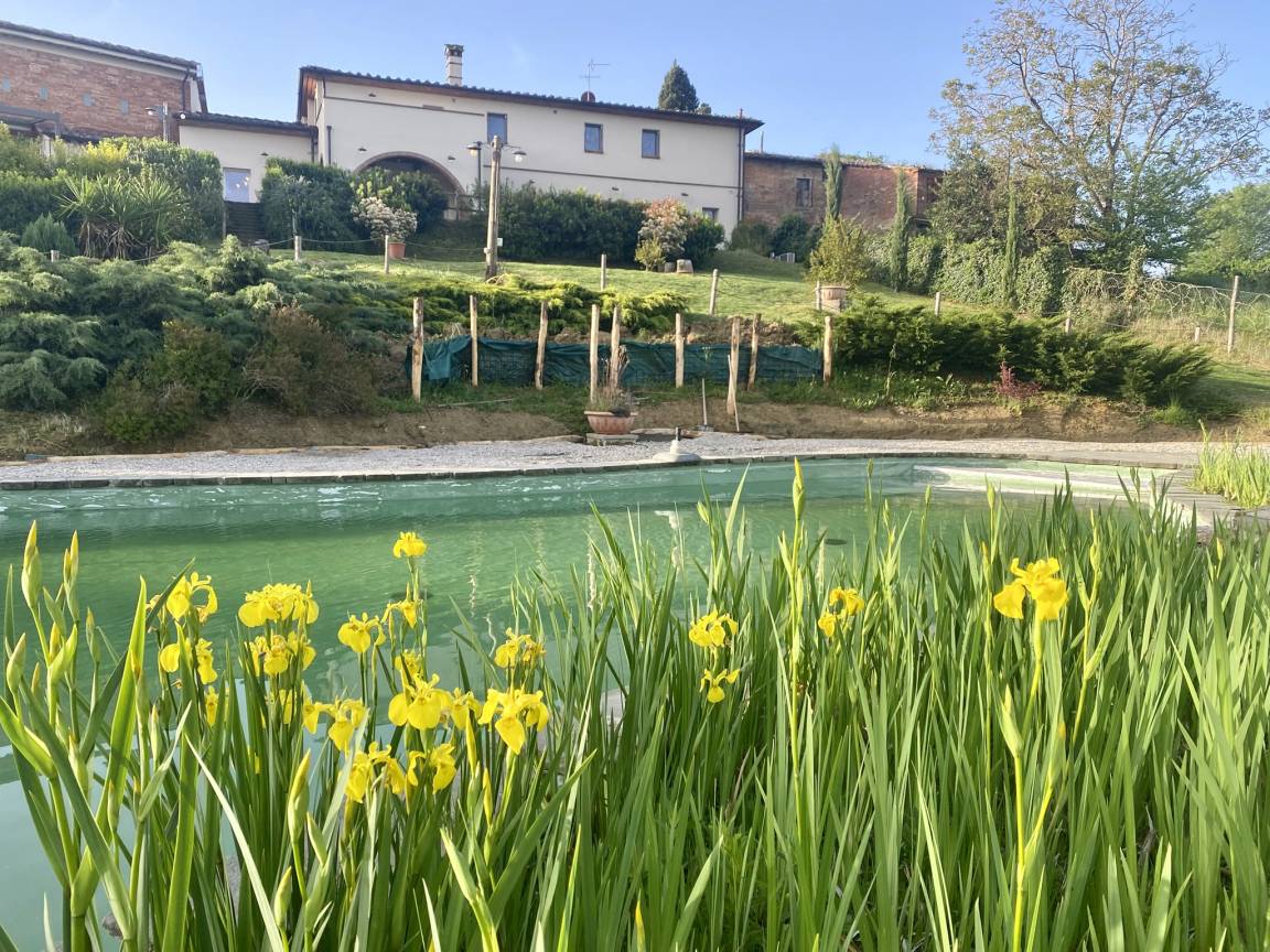 Bauernhof ∙ 1 Schlafzimmer ∙ 4 Gäste - San Miniato