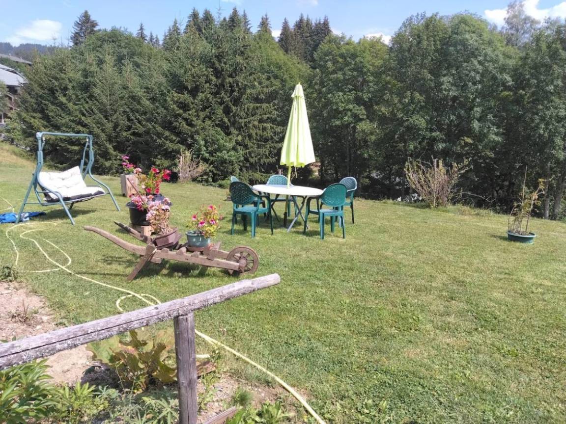 foto19