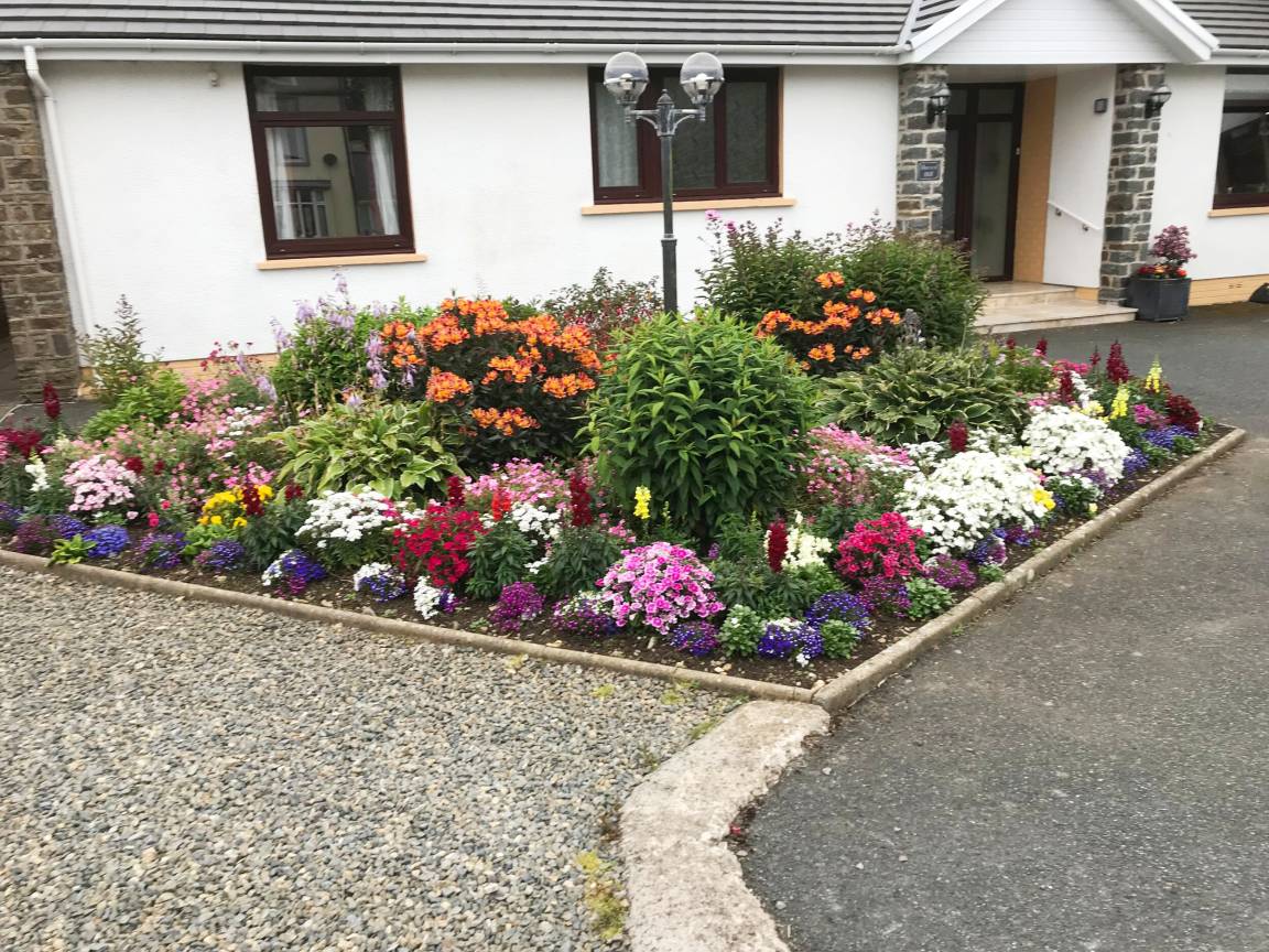 Cottage ∙ 1 Bedroom ∙ 2 Guests - Fishguard