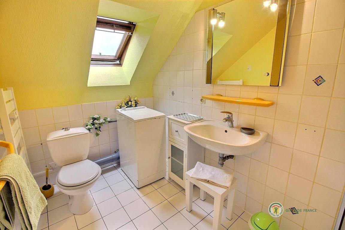 foto12