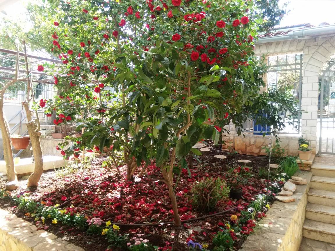 foto15