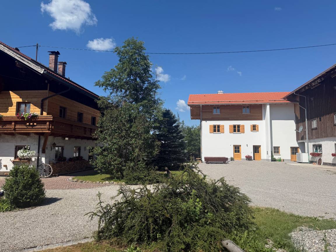 foto2