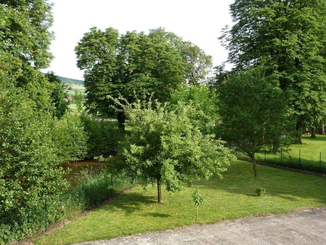 foto10