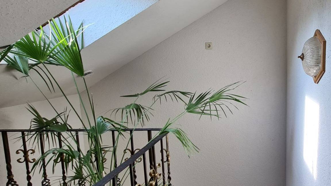 Appartement ∙ 3 Personnes - Laufenburg